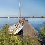 Animaux de compagnie en Pologne : l’autre transformation de 1989